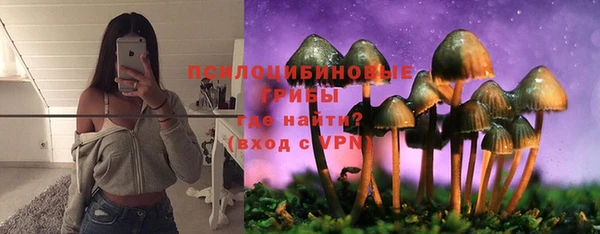 прущая мука Зеленокумск